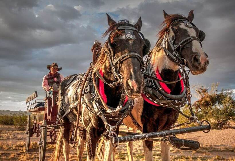 فندق ريفى Stagecoach Trails Guest Ranch