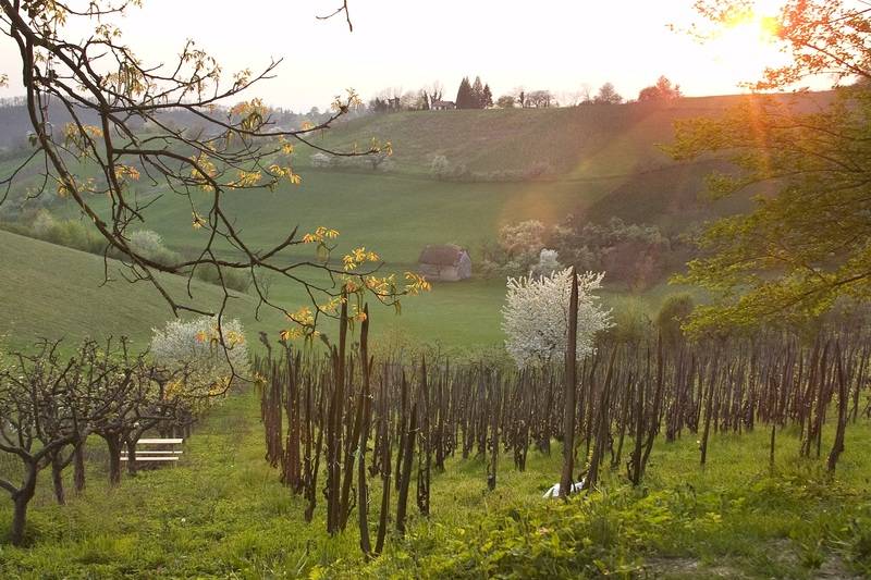 酒店 Srakovcic Heart Of Nature