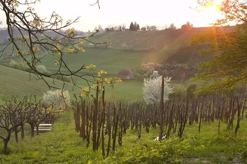 Hotelli Srakovcic Heart Of Nature