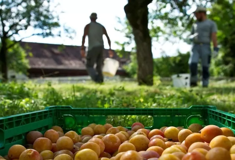 ホテル Stiftung Kartause Ittingen