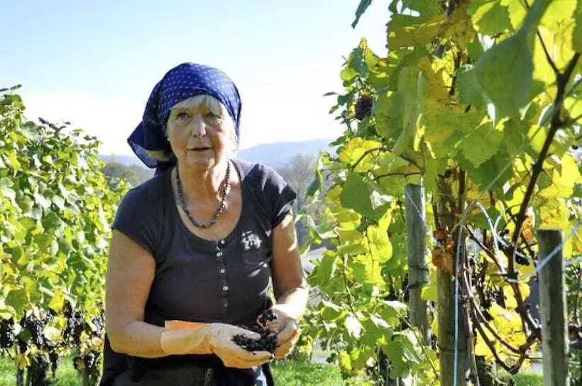 ホテル Stiftung Kartause Ittingen