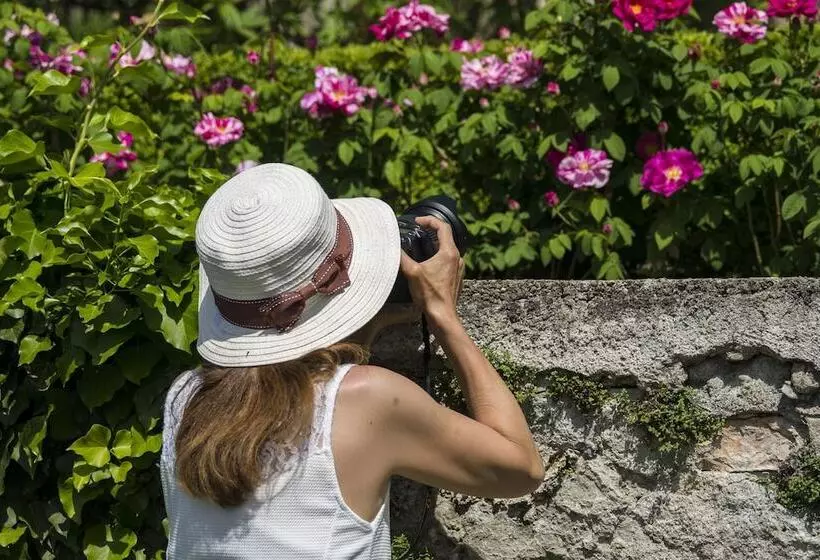 ホテル Stiftung Kartause Ittingen