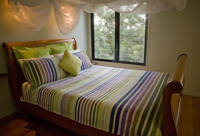 Lyola Pavilions In The Forest