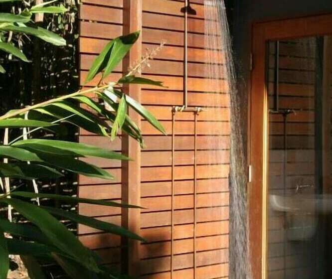 Lyola Pavilions In The Forest