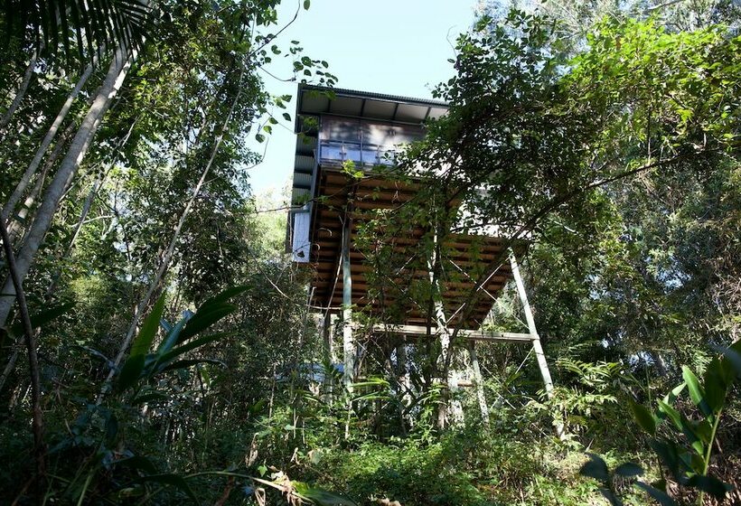 Lyola Pavilions In The Forest