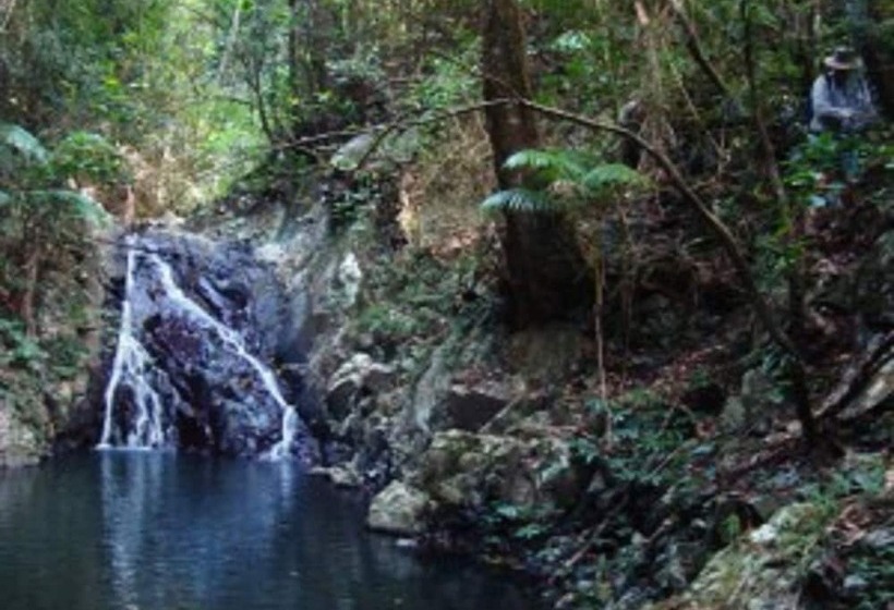 Lyola Pavilions In The Forest