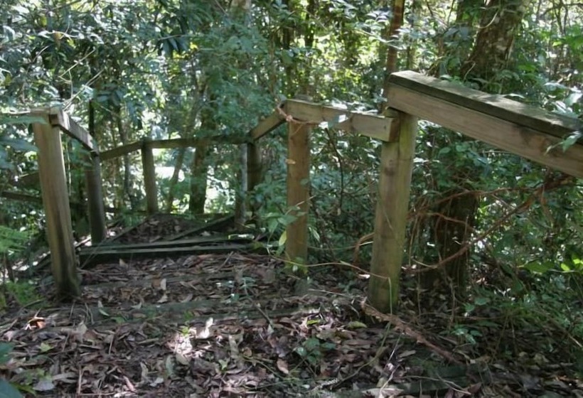 Lyola Pavilions In The Forest