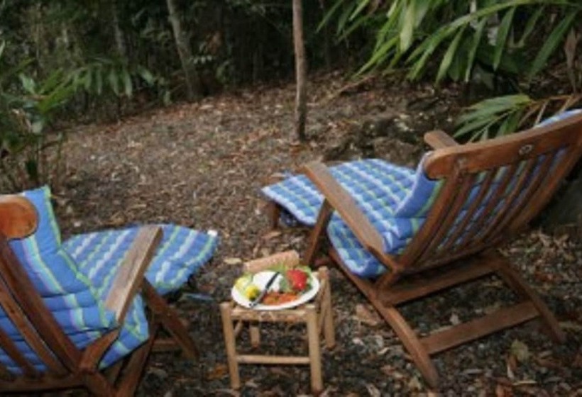 Lyola Pavilions In The Forest