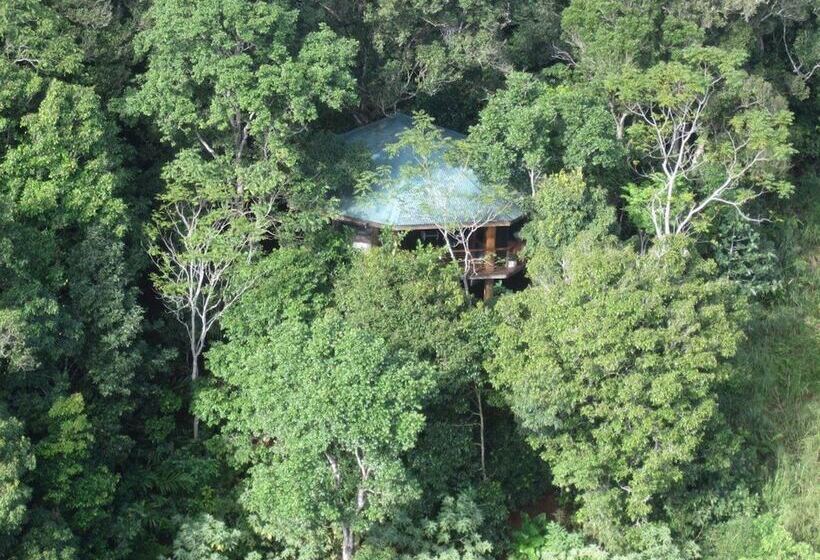 Mt Quincan Crater Retreat