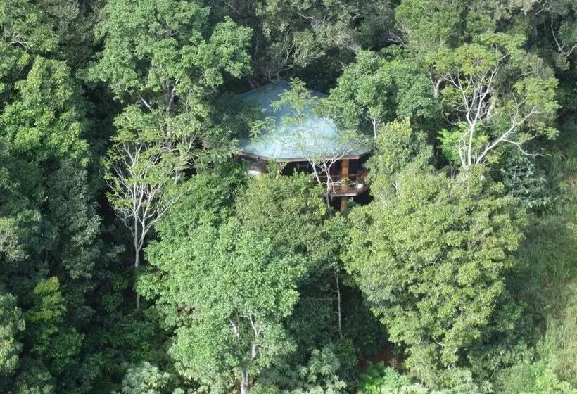 Mt Quincan Crater Retreat