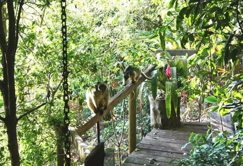 Mt Quincan Crater Retreat
