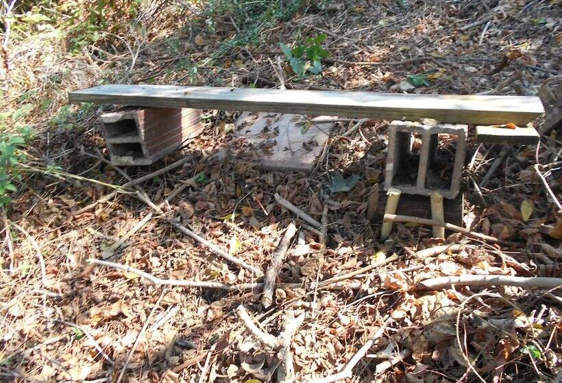 Nelsonville Hotel   Hostel