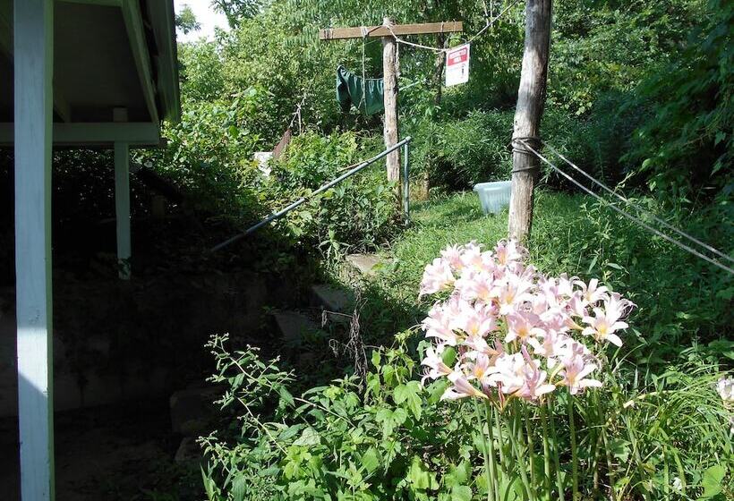 Nelsonville Hotel   Hostel