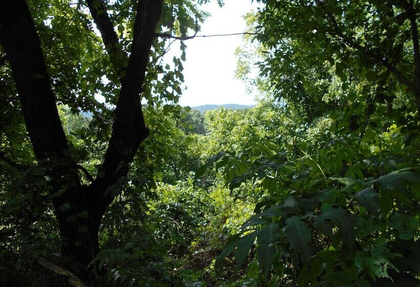 Nelsonville Hotel   Hostel