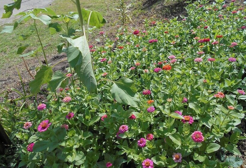 Nelsonville Hotel   Hostel