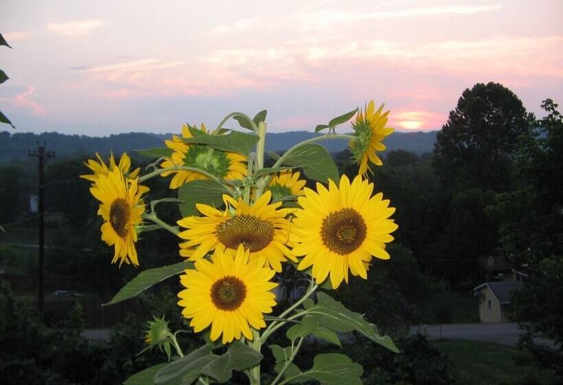 Nelsonville Hotel   Hostel