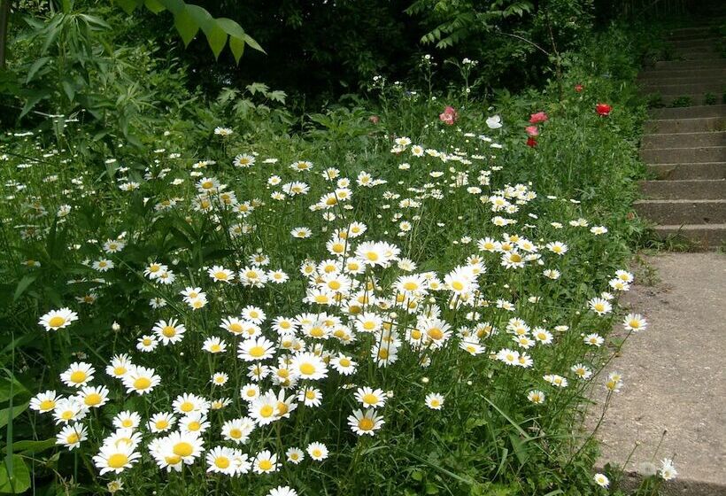 Nelsonville Hotel   Hostel