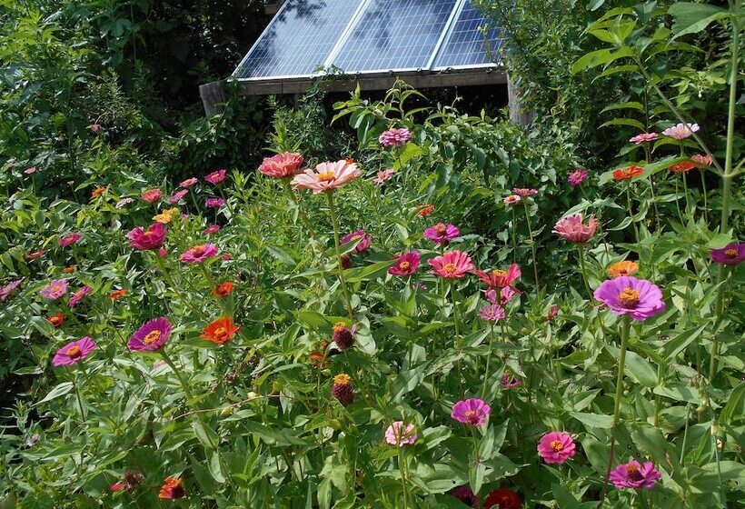 Nelsonville Hotel   Hostel