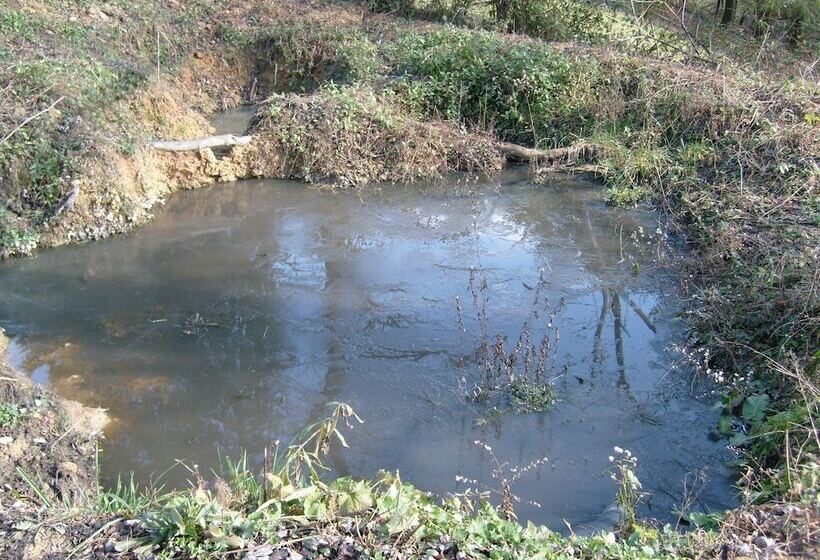 Nelsonville Hotel   Hostel