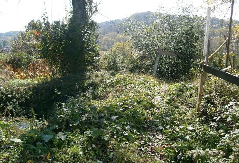 Nelsonville Hotel   Hostel