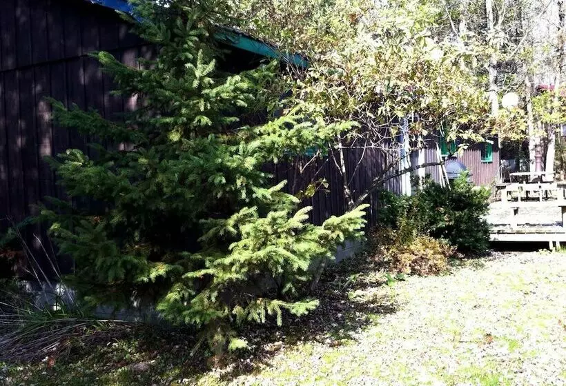 ペンション Allan Mills Cottage
