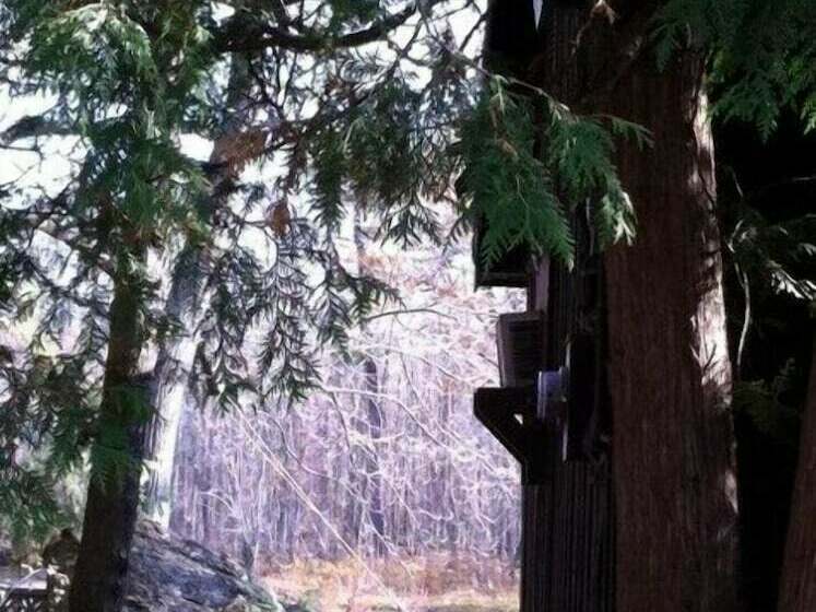 Majatalo Allan Mills Cottage