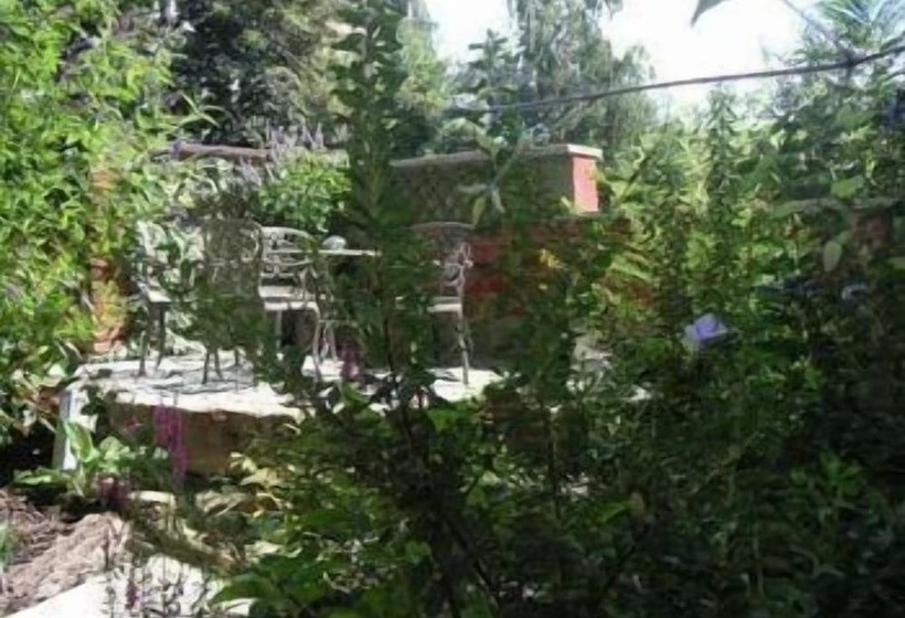 بنسيون City Oase Dresden