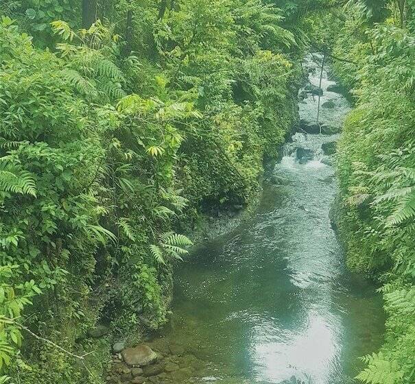 פנסיון Serenity Lodges Dominica