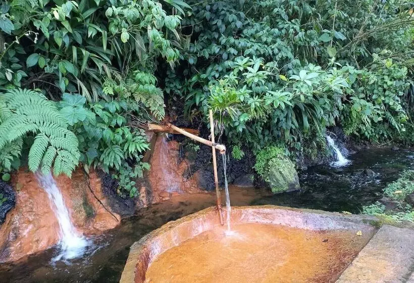 پانسیون Serenity Lodges Dominica