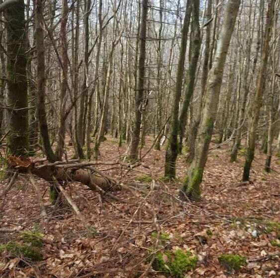 Pensão Stoops Guesthouse