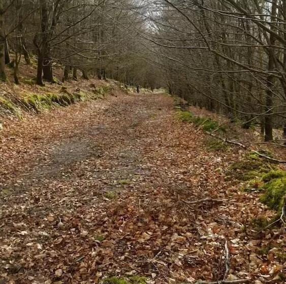 Majatalo Stoops Guesthouse