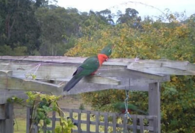 Shanti Relaxation Retreat