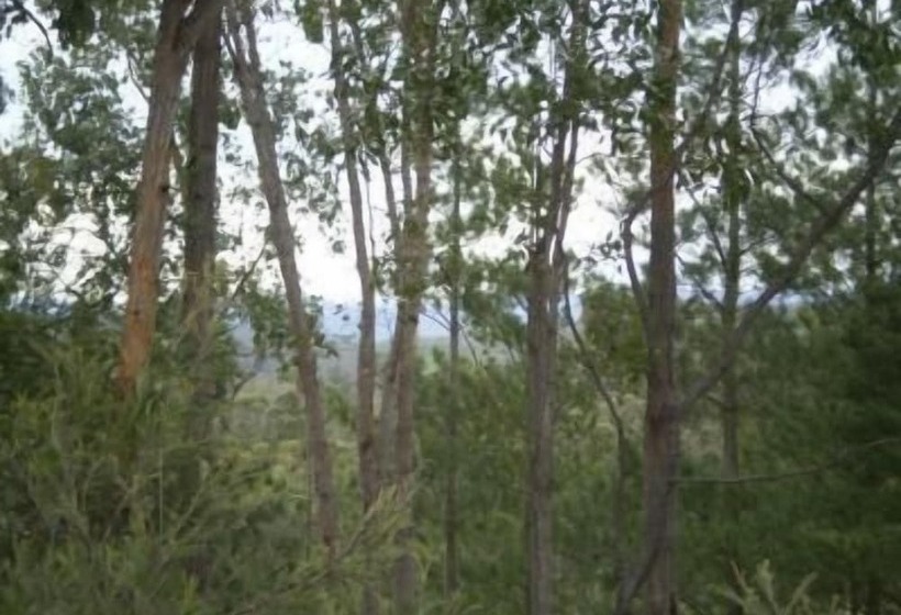 Shanti Relaxation Retreat