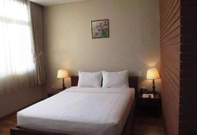 هتل Anh Dao Mekong