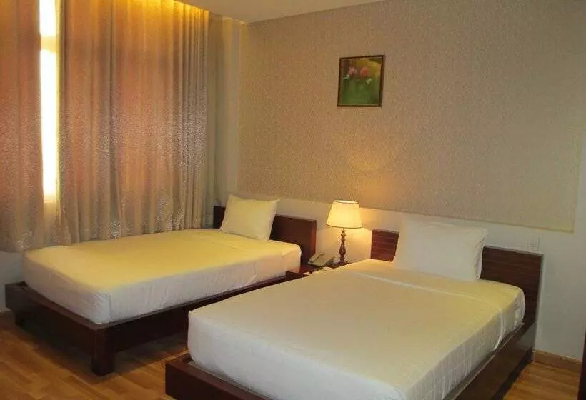 هتل Anh Dao Mekong