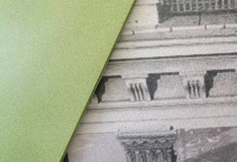 בית מלון כפרי N