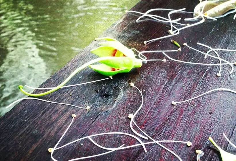 펜션 Baan Siriporn Resort   โรงแรมบ้านศิริพร รีสอร์ท