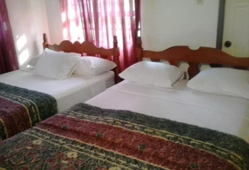 پانسیون Top Ranking Hill View Guesthouse