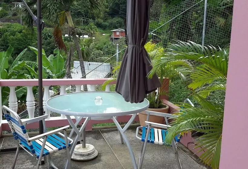 پانسیون Top Ranking Hill View Guesthouse