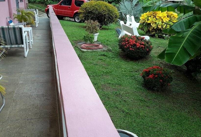 پانسیون Top Ranking Hill View Guesthouse