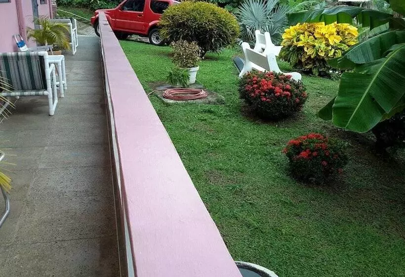 پانسیون Top Ranking Hill View Guesthouse