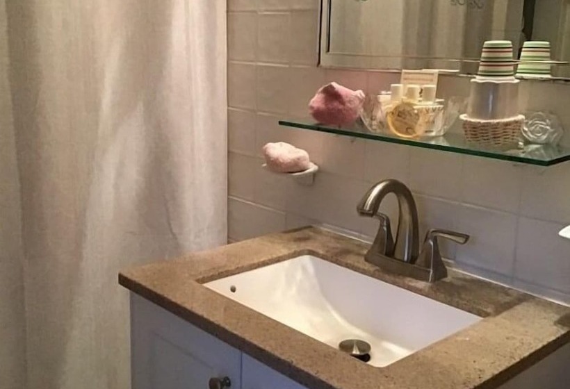 住宿加早餐 Brookview Manor Inn