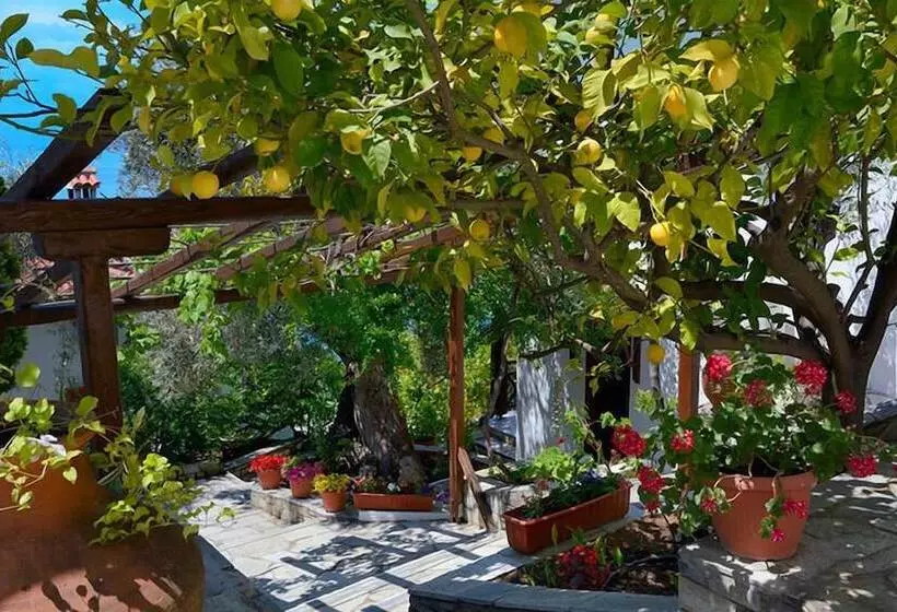 Hotelli Diplomats Holidays