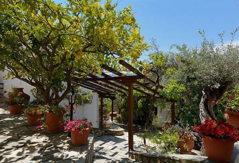 호텔 Diplomats Holidays