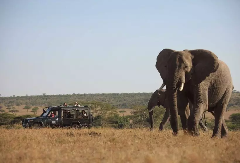 هتل Kicheche Valley Camp