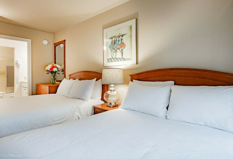 בית מלון כפרי La Residence Suite