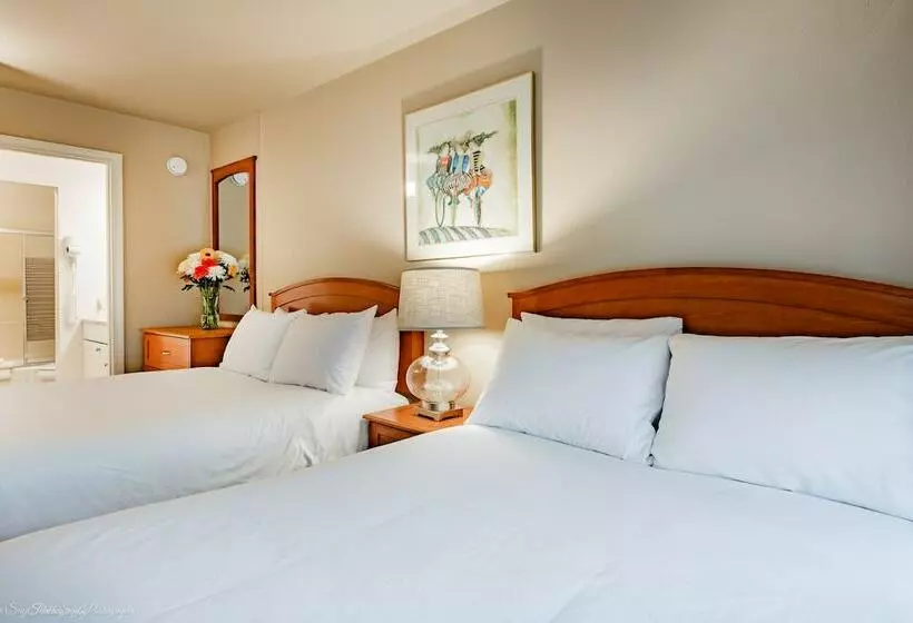 Hotelli La Residence Suite