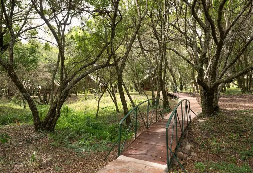 هتل Mara Kimana Camp
