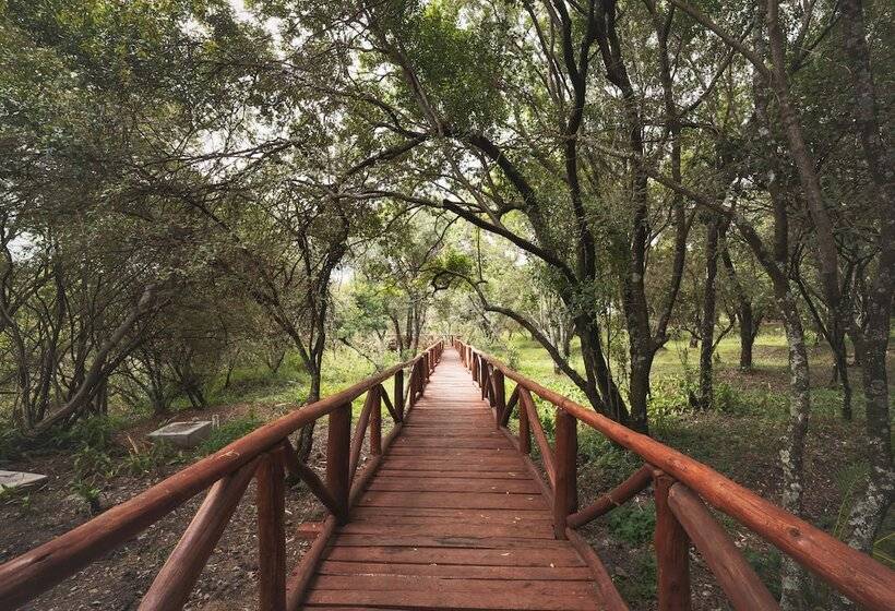 هتل Mara Kimana Camp