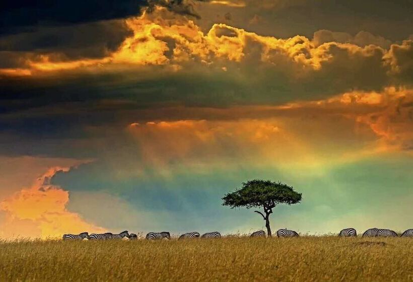 هتل Mara Sweet Acacia Lodge